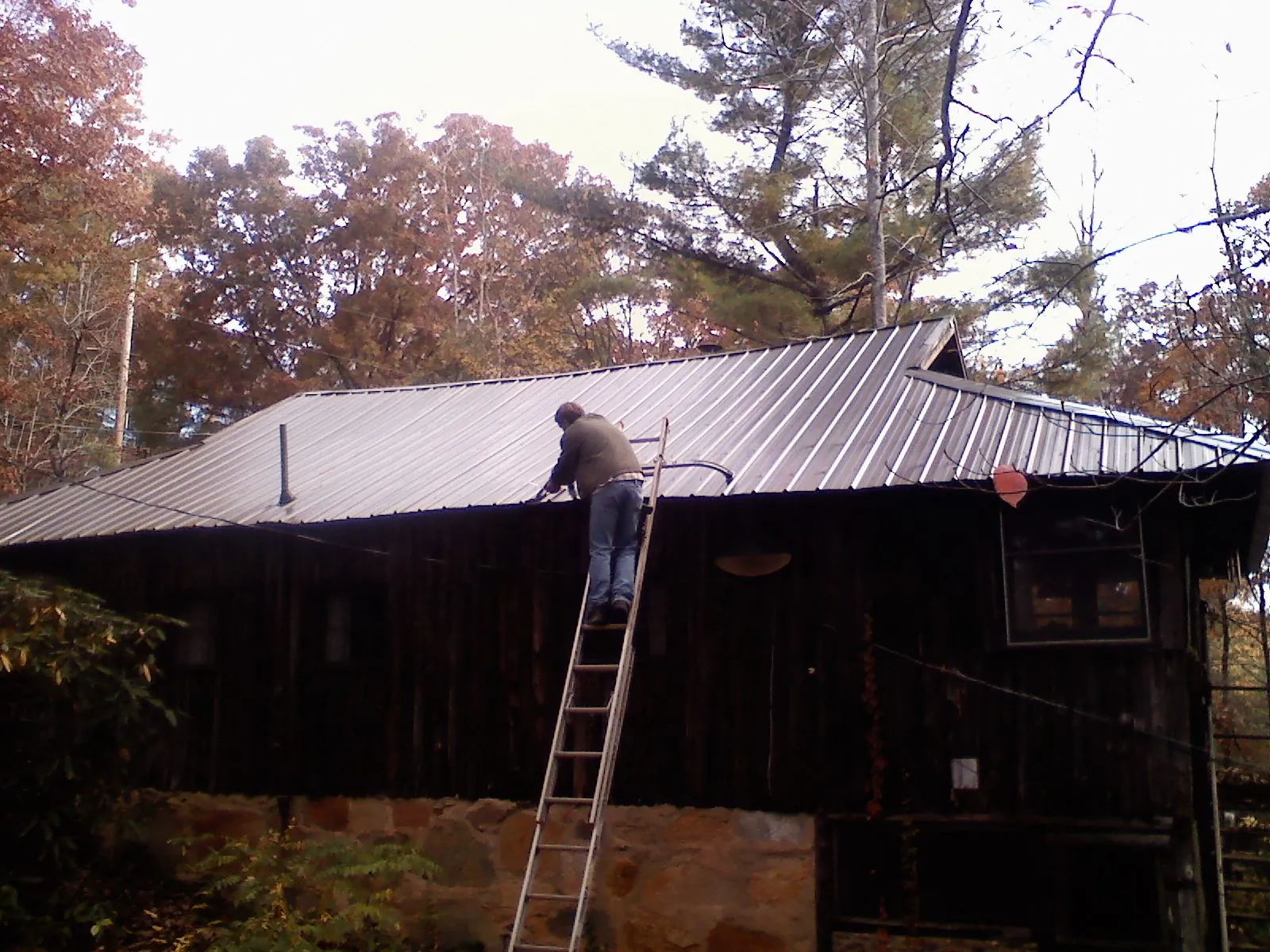 Roofer on a ladder working along the edge of a cabin metal roof in Hansville