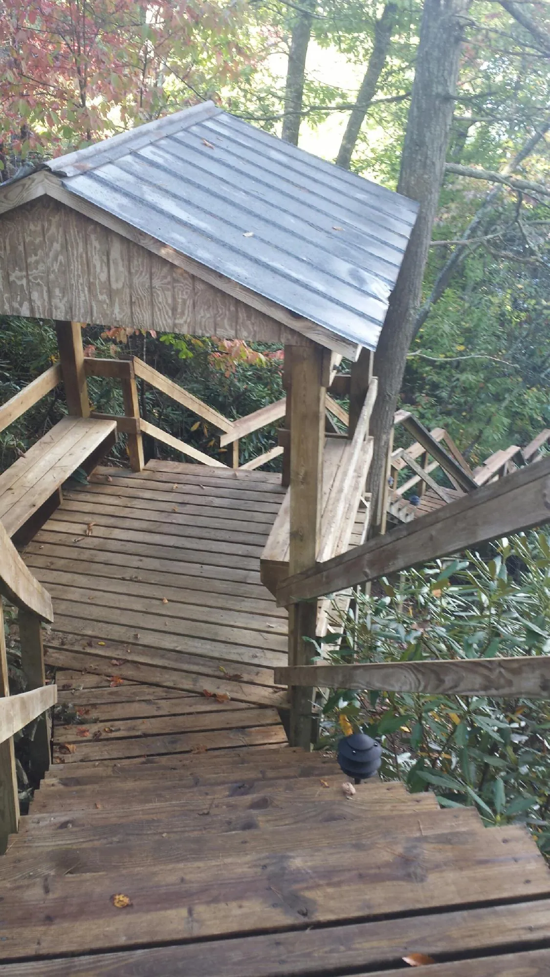 Metal roofed shelter over wooden steps on a wooded walkway — Skylight Repair & Installation work by our crew in Hansville