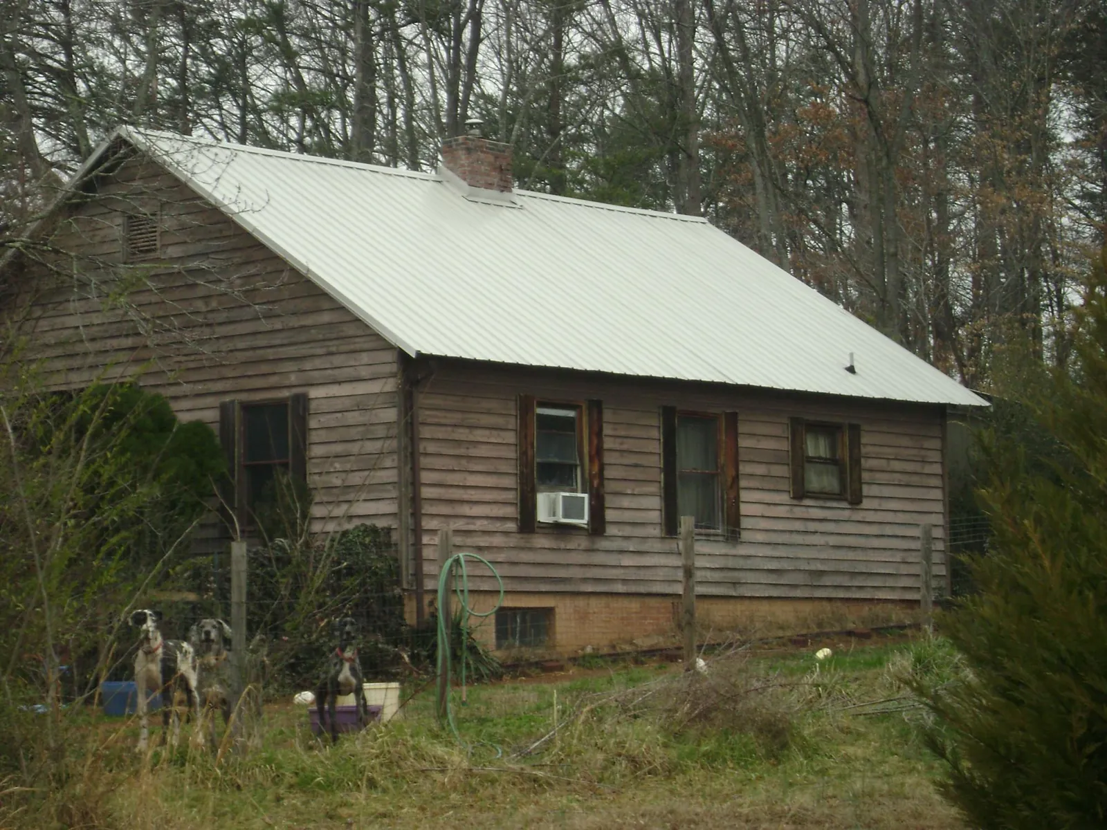 White metal roof on an old wood sided farmhouse, from a Metal Roof Installation job in Hansville